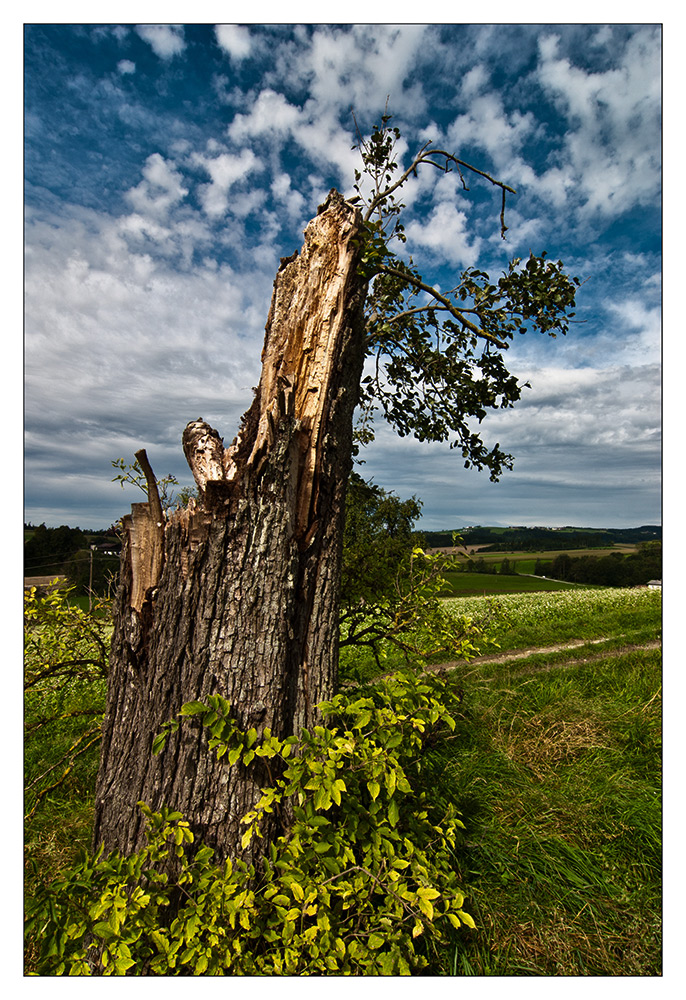 der letzte Sturm