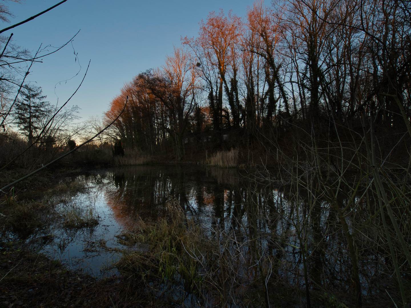 Der letzte Tag des alten Jahres am Weiher 