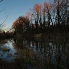 Der letzte Tag des alten Jahres am Weiher 