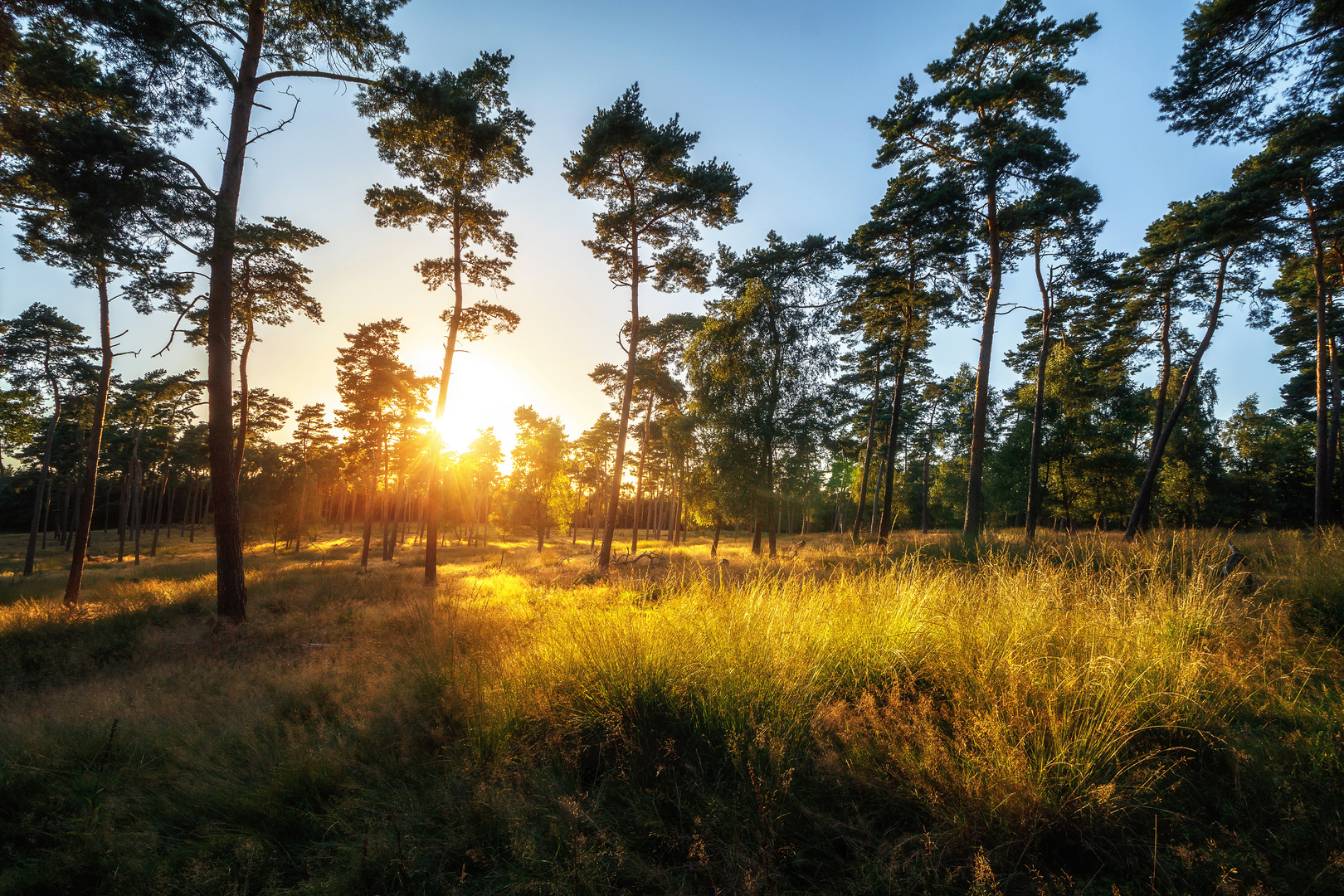 Der letzte Tag des Sommers