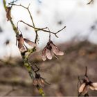 der letzte Tag im Herbst 2018 - zum Abflug bereit