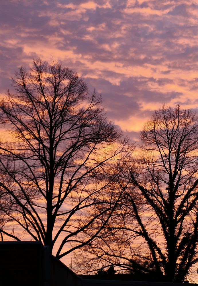 Der letzte Tag im Jahr …. Foto & Bild sonnenuntergang, winter, natur