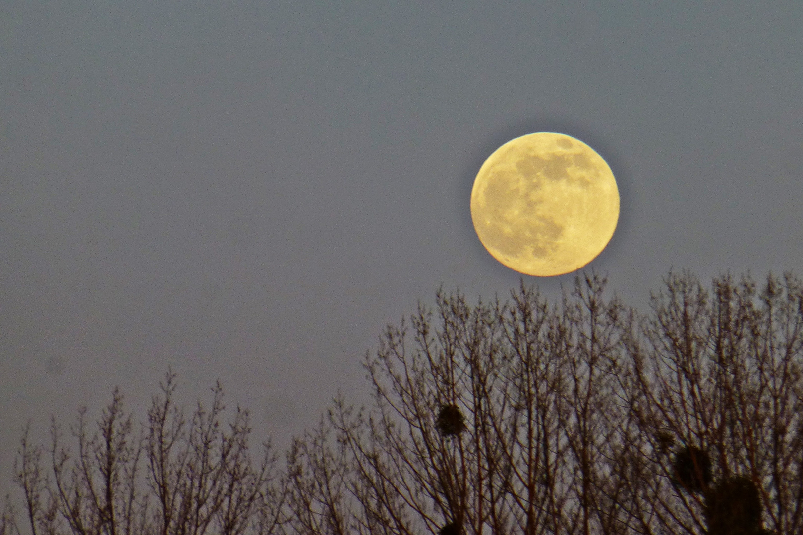 Der letzte Vollmond 1