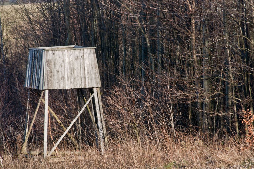 der letzte wachturm vom germanischen thing