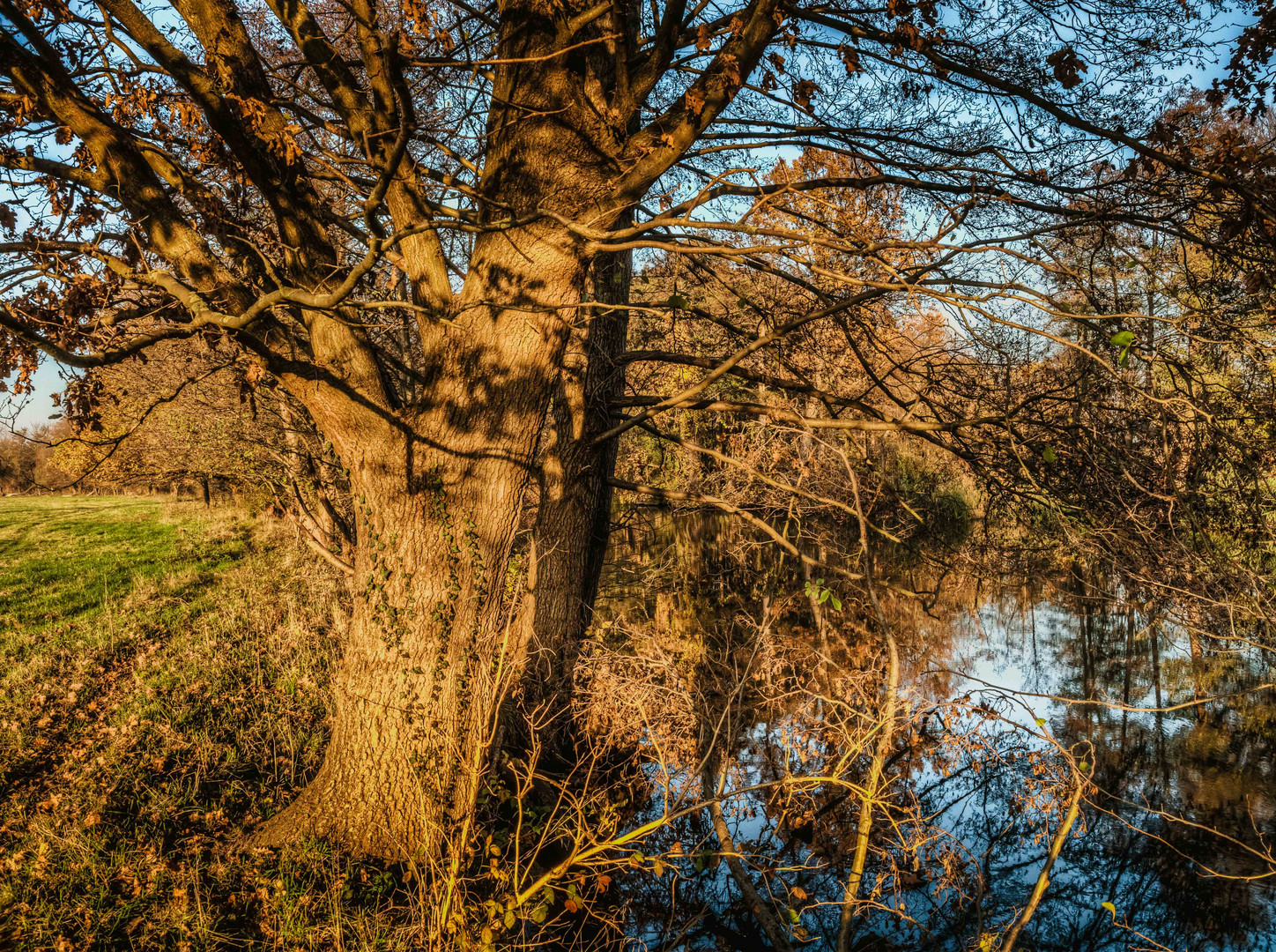 Der letzte warme Herbsttag an der Spree