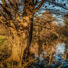 Der letzte warme Herbsttag an der Spree