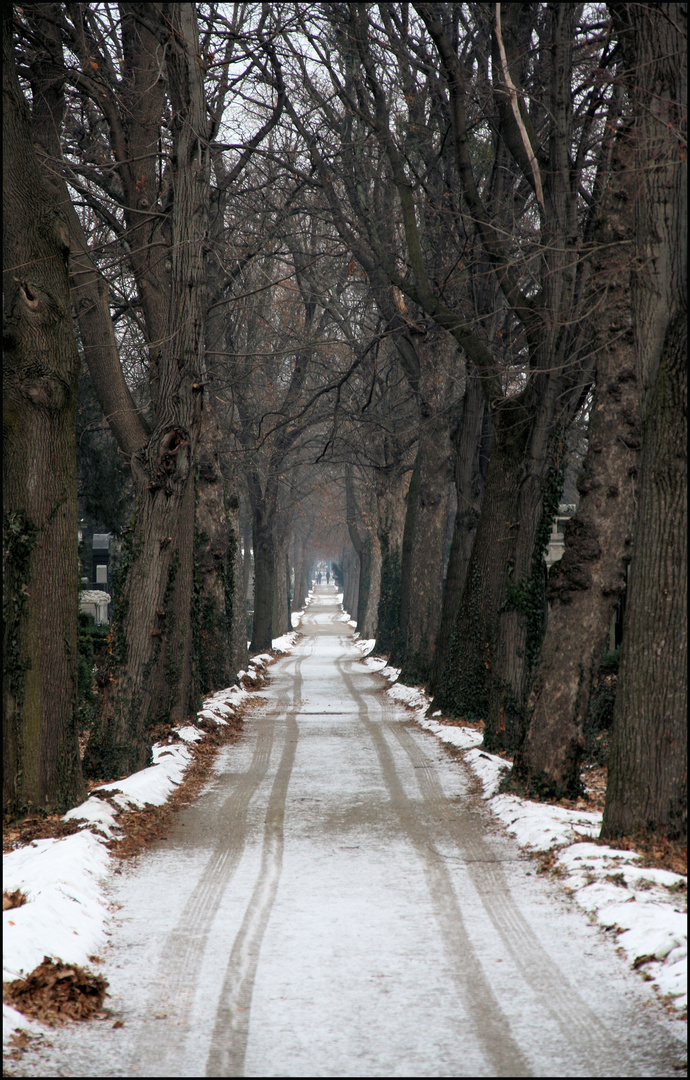 Der letzte Weg