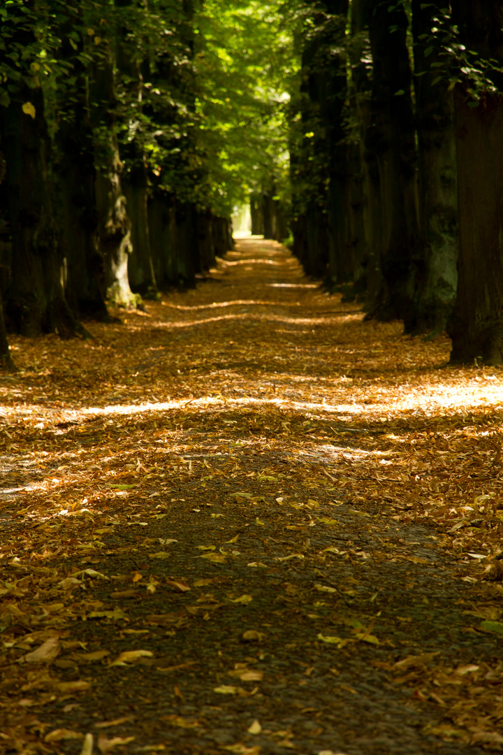 der letzte weg