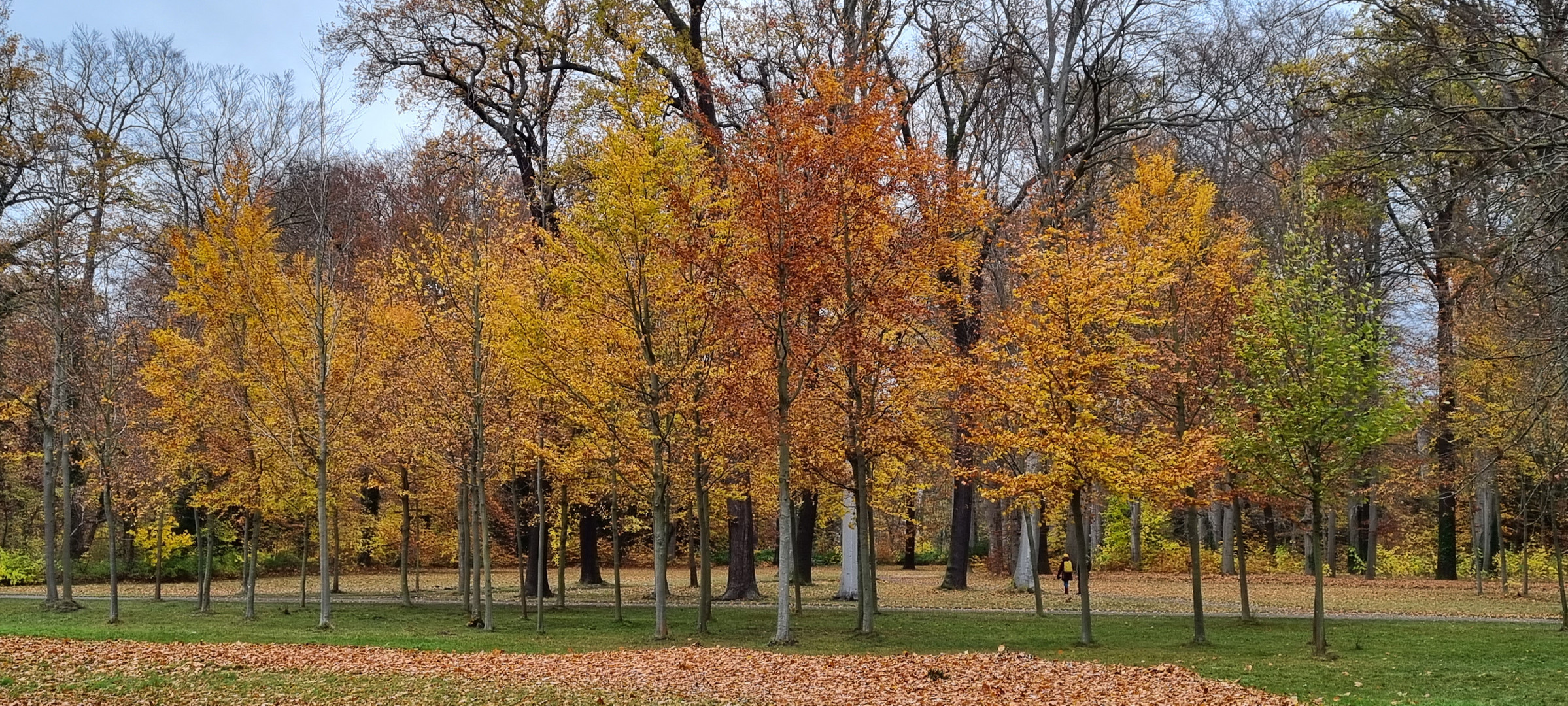 Der letzte Widerstand des Herbstes