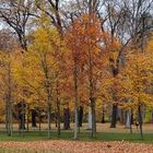 Der letzte Widerstand des Herbstes