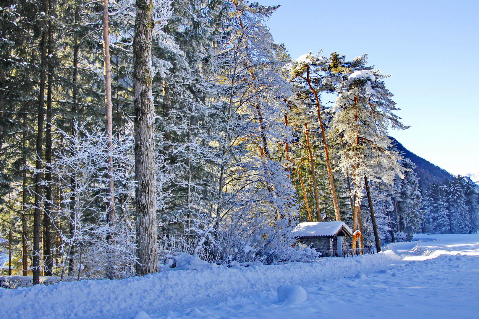 Der letzte Winter