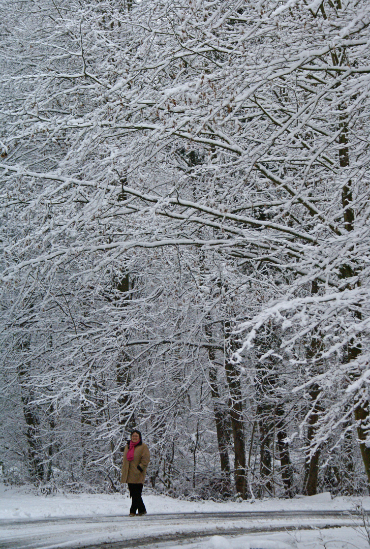 der letzte Winter