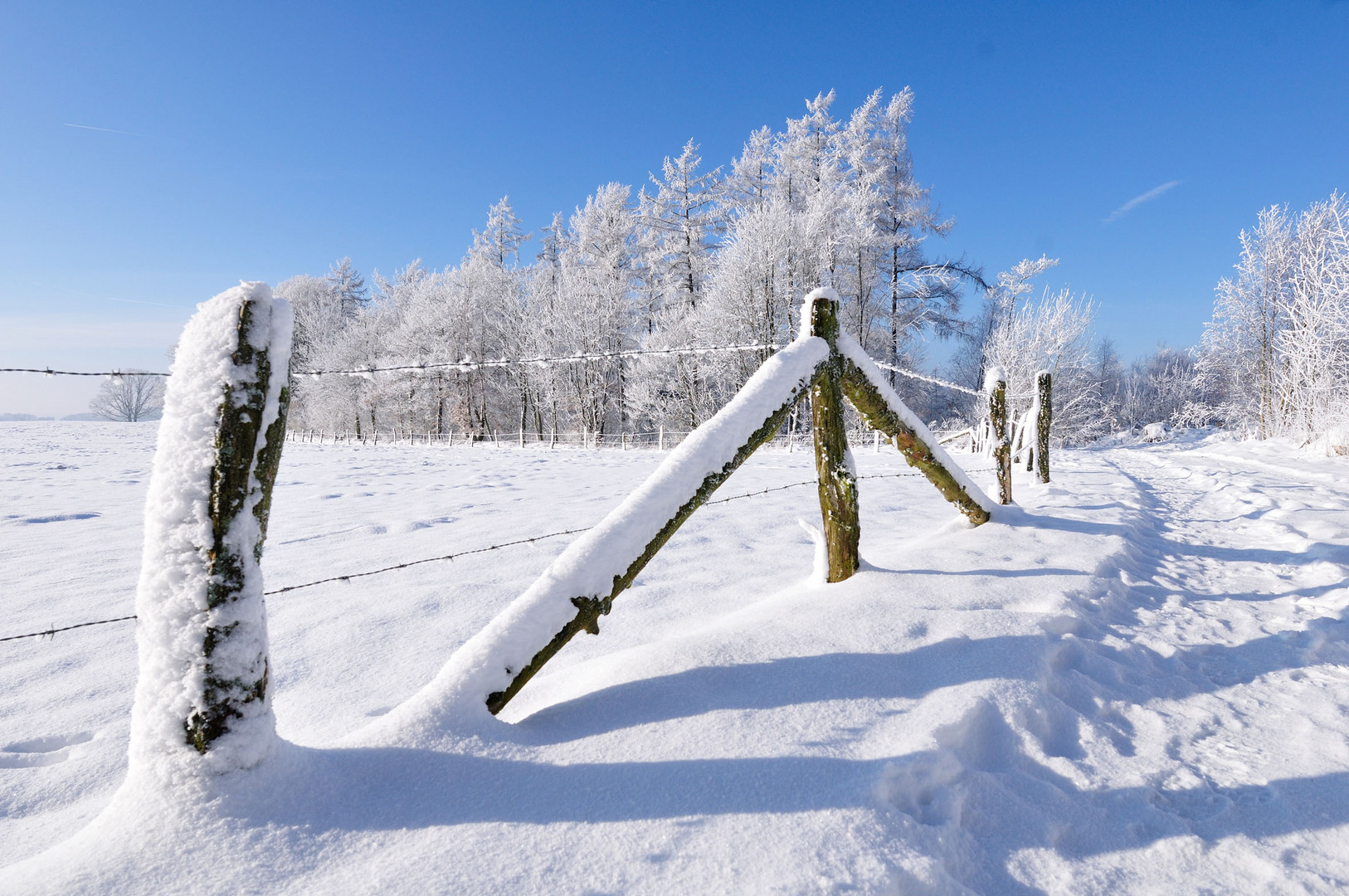 Der letzte(?) Wintertag