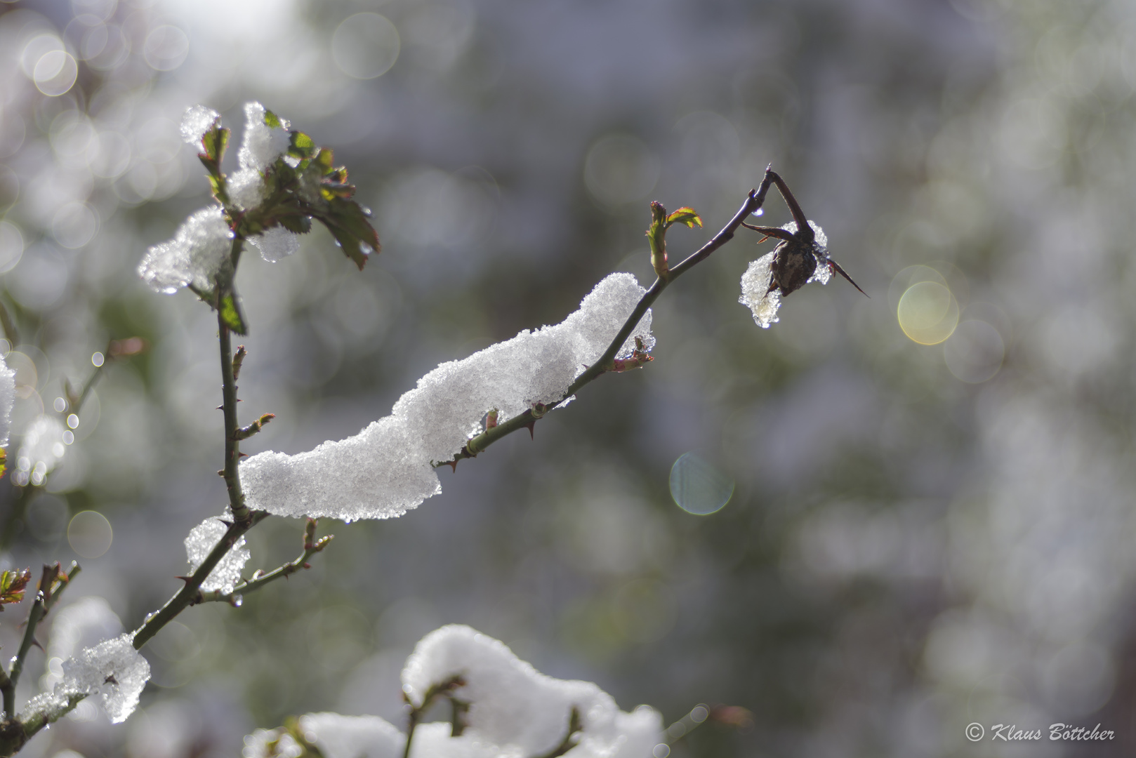 Der letzte Wintertag?