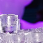 "Der letzte Wodka vor der Eiszeit"