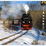 Der letzte Zug im Winterwald (1) ...