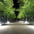 Der leuchtende Park