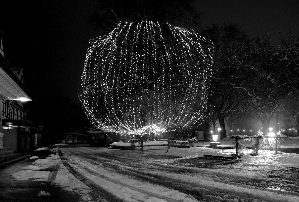 Der leuchtende Weihnachtsbaum von Bad Münster