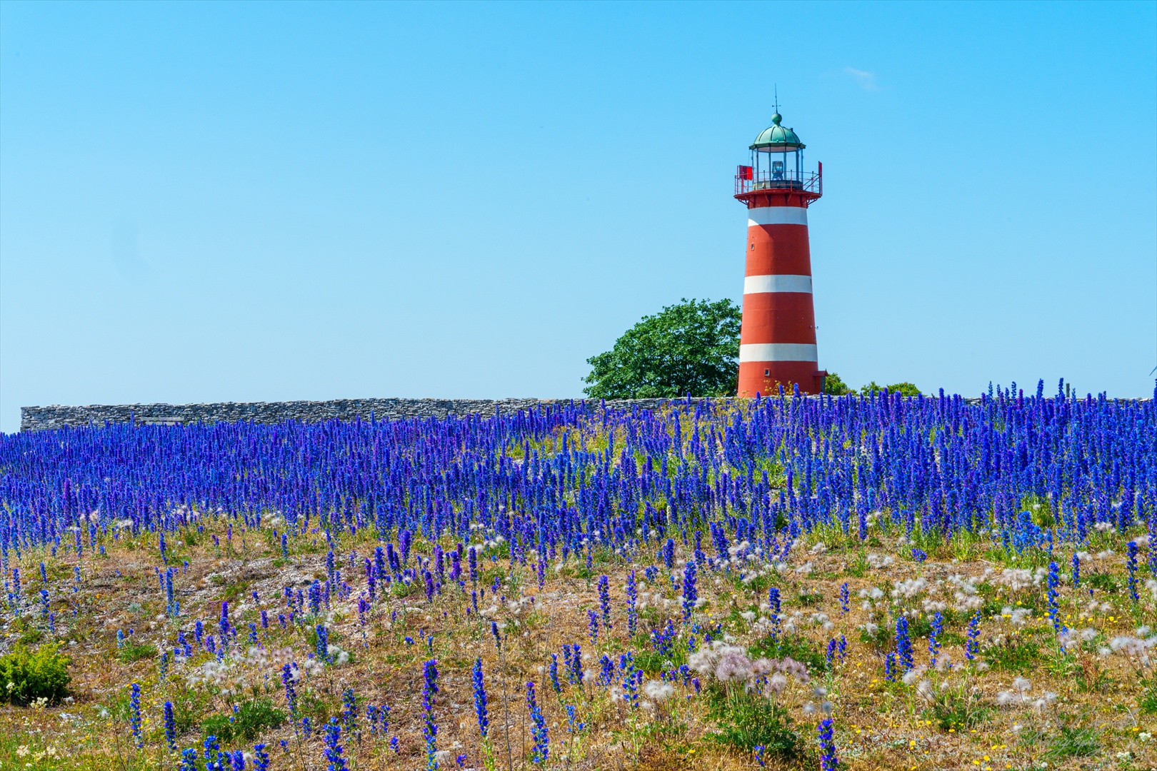 der Leuchtturm