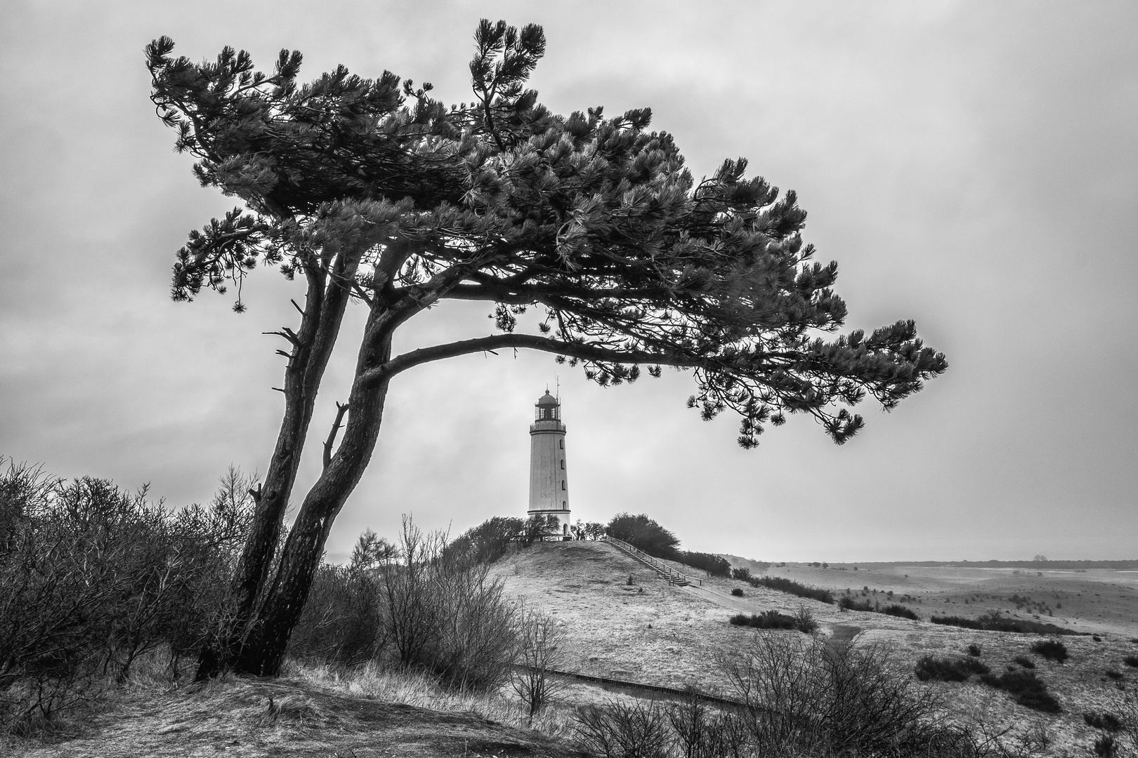 Der Leuchtturm