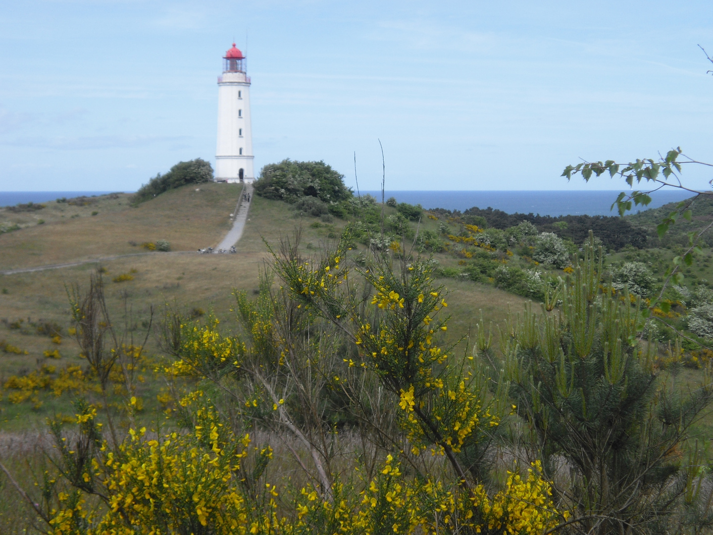 Der Leuchtturm