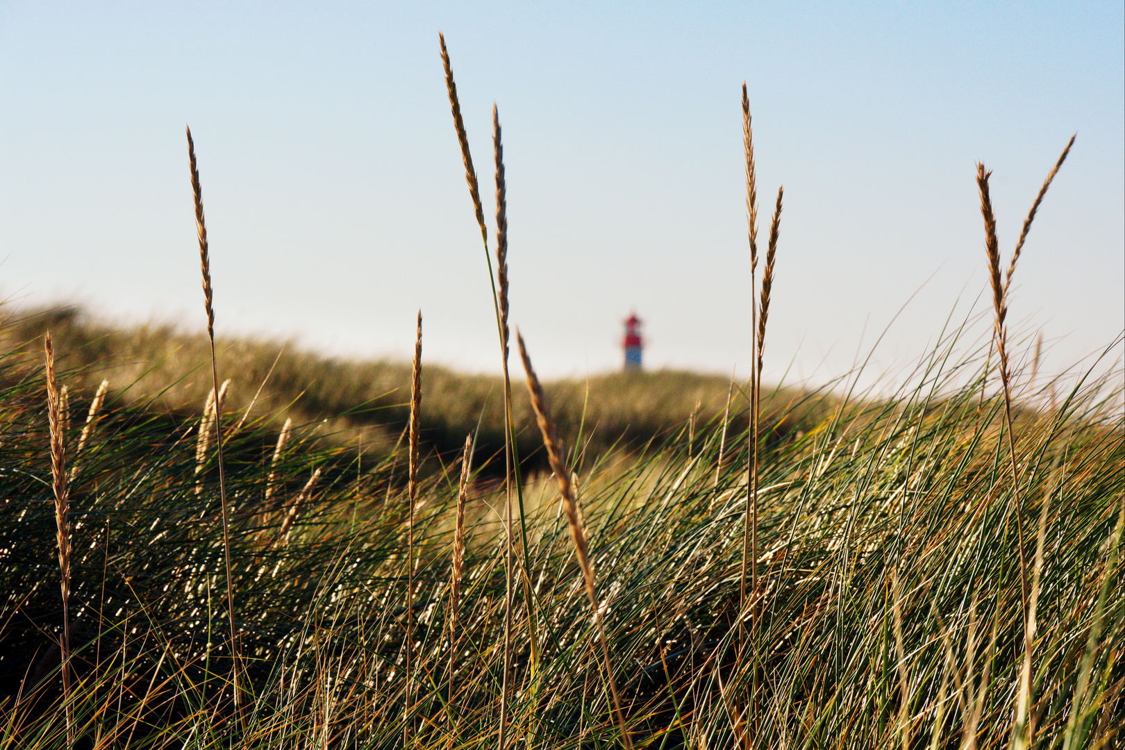 Der Leuchtturm