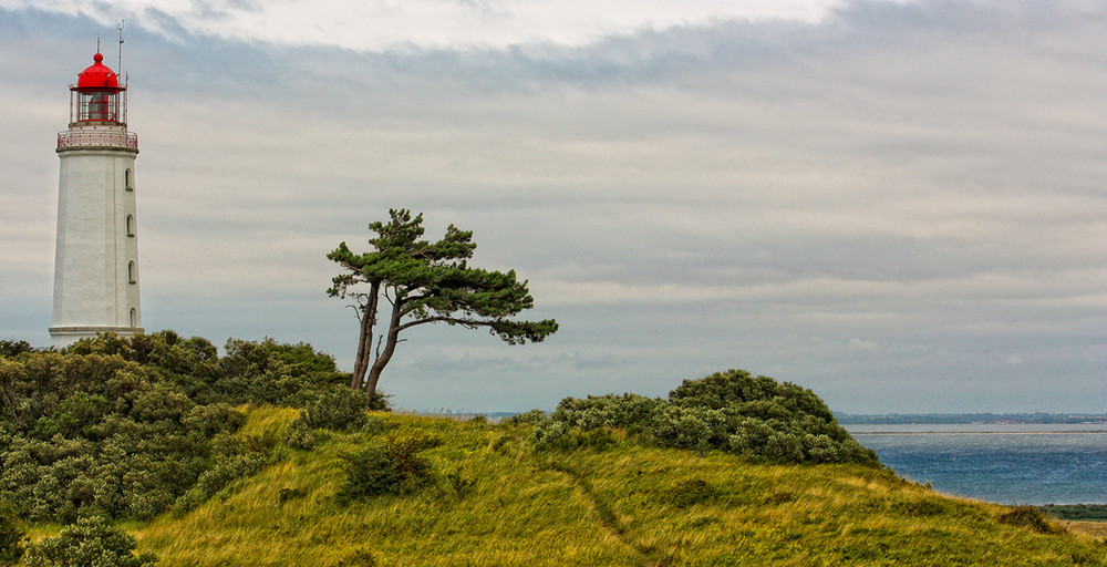 Der Leuchtturm auf Hiddensee