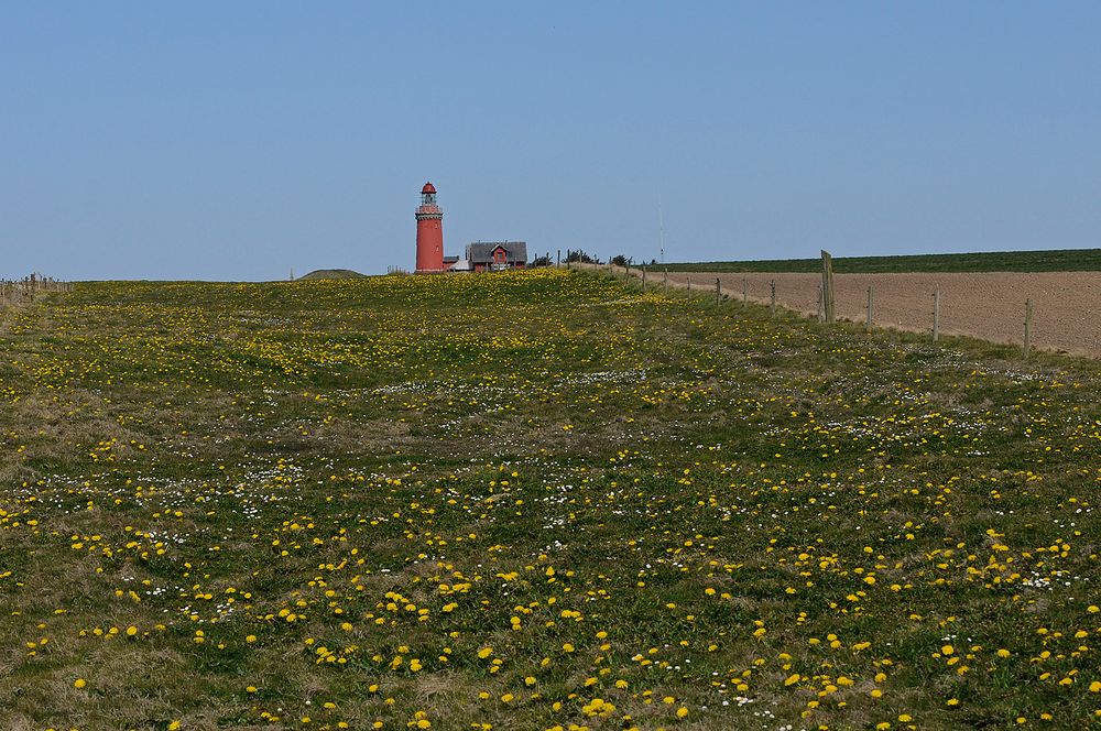 Der Leuchtturm Bovbjerg-Fyr (DK) von Süden aus gesehen.