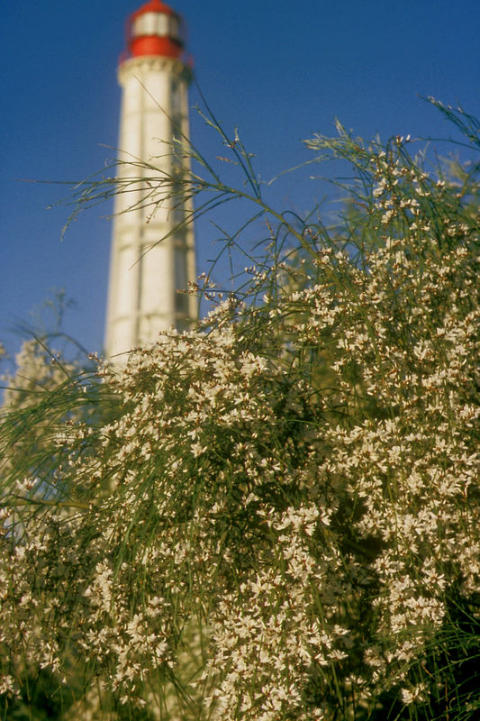 Der Leuchtturm der Ilha de Farol