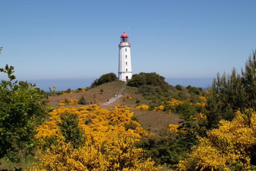 Der Leuchtturm Dornbusch auf Hiddensee