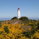 Der Leuchtturm Dornbusch auf Hiddensee