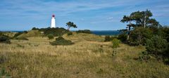 Der Leuchtturm Dornbusch