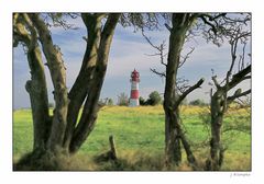 - der Leuchtturm Falshöft -