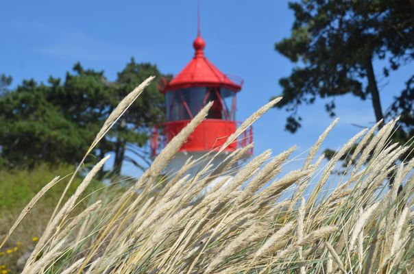 Der Leuchtturm Gellen 28.Juli 2025