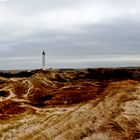 Der Leuchtturm in den Dünen