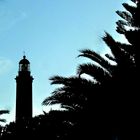 der Leuchtturm und die Palmen