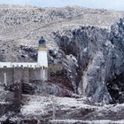 Der Leuchtturm von BassRock die Heimat der Basstölpel