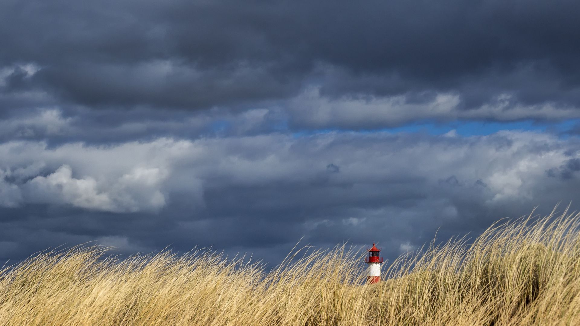 Der Leuchtturm von List auf Sylt 