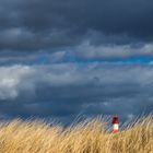 Der Leuchtturm von List auf Sylt 