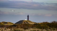 der Leuchtturm von Norderney