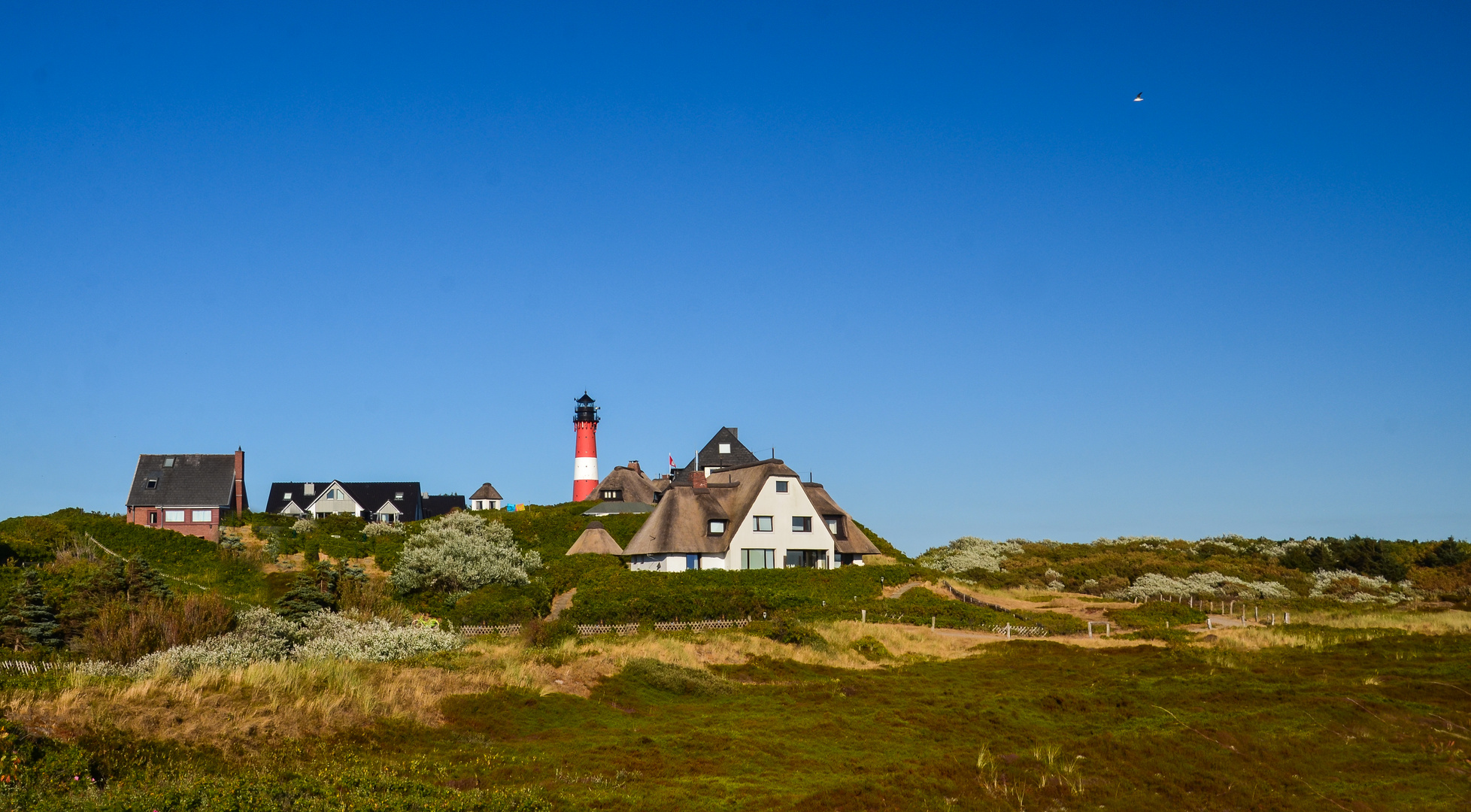 Der Leuchturm von Hörnum Foto & Bild | architektur, deutschland