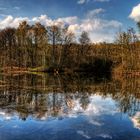 Der Leyenweiher in der Wahner Heide