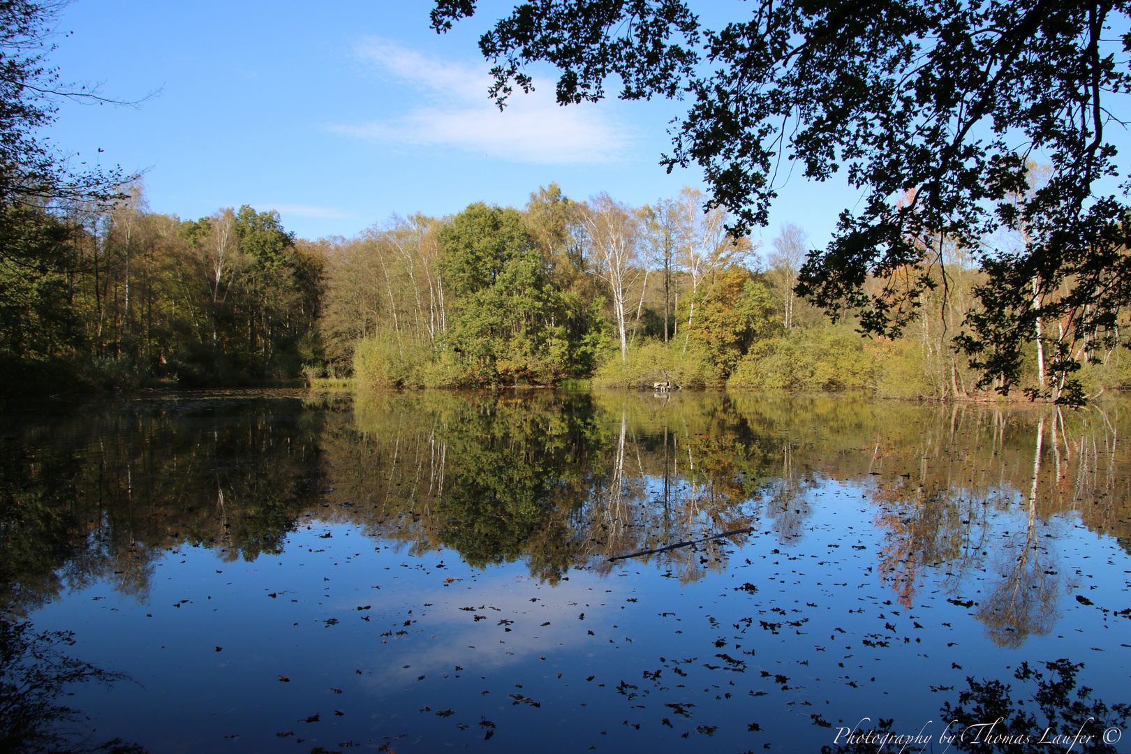 Der Leyenweiher in Troisdorf