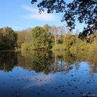 Der Leyenweiher in Troisdorf