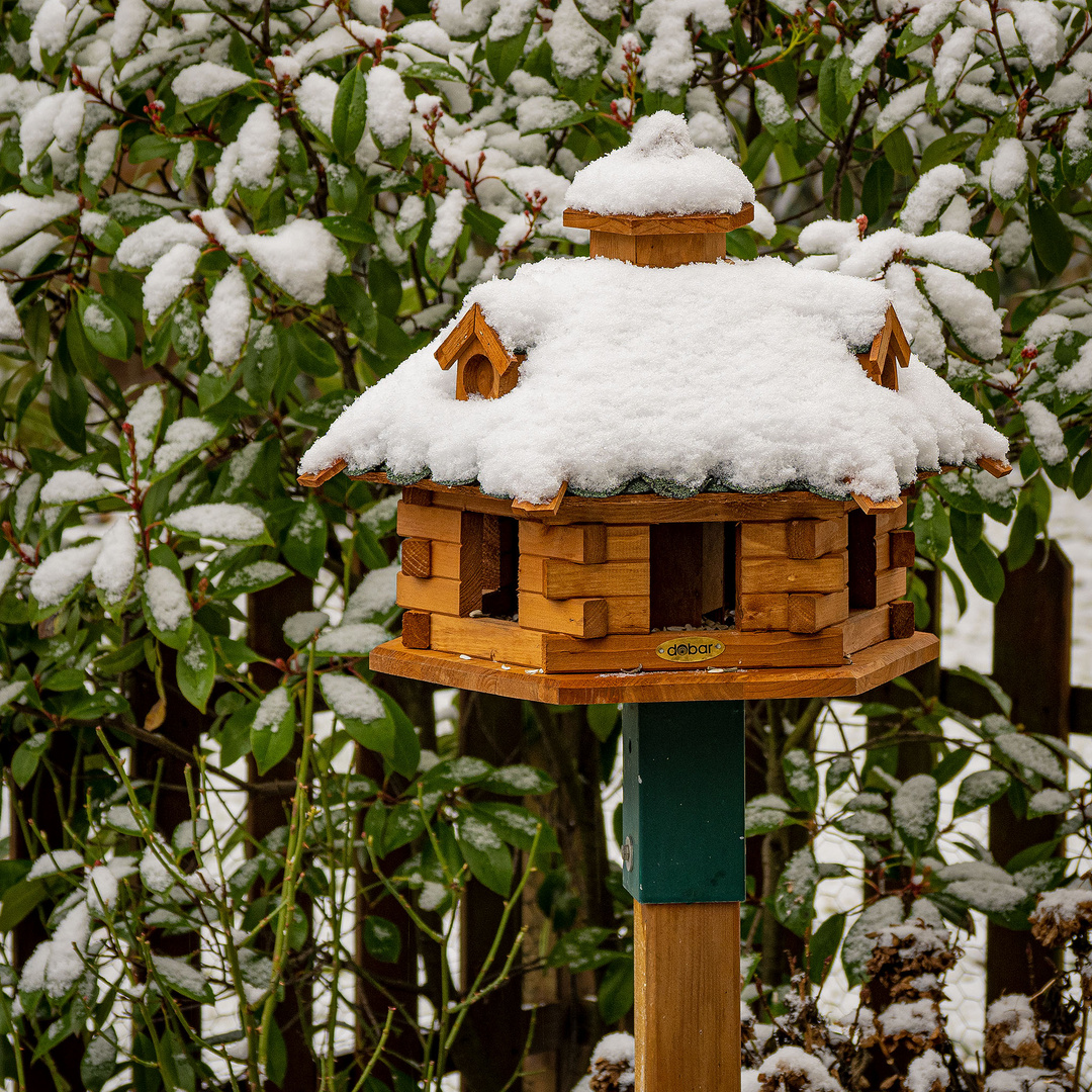 Der lezte Schnee