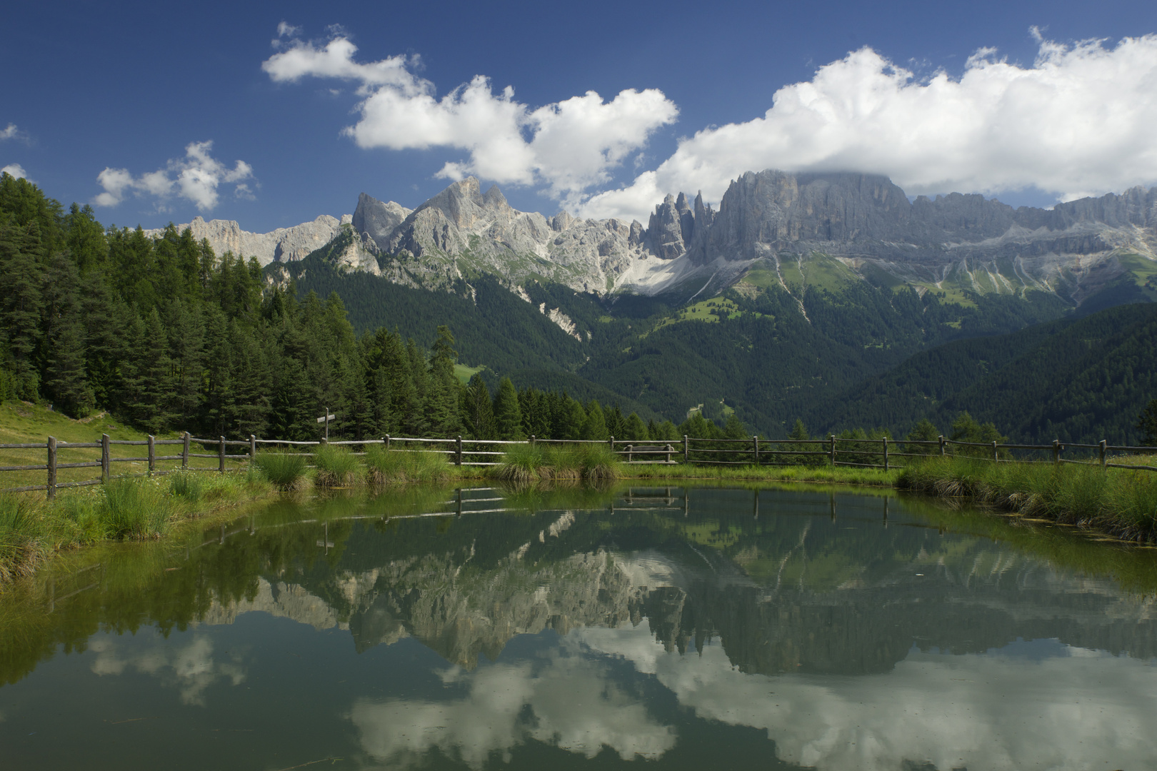 Der Libellenweiher...