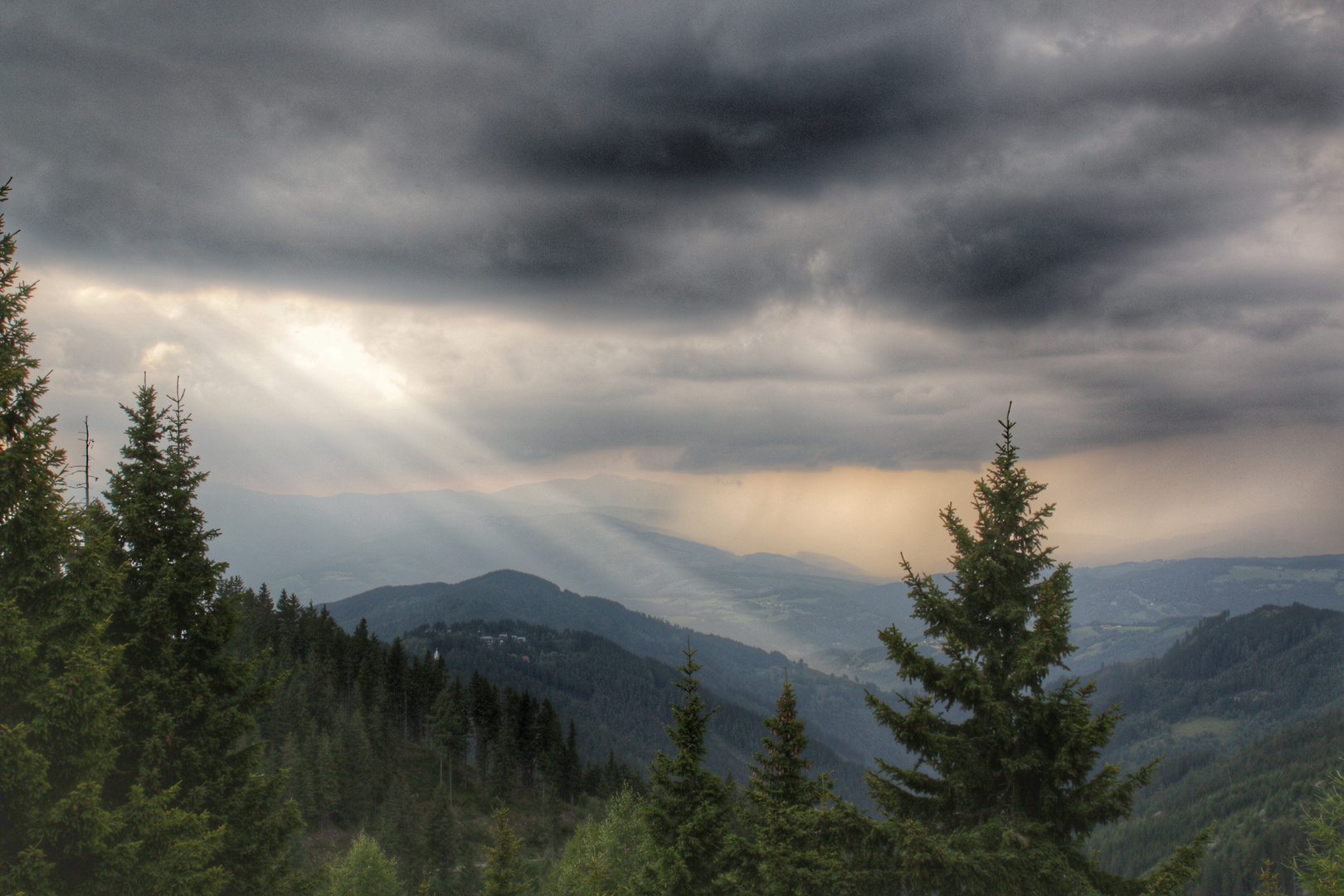 Der Lichtblick