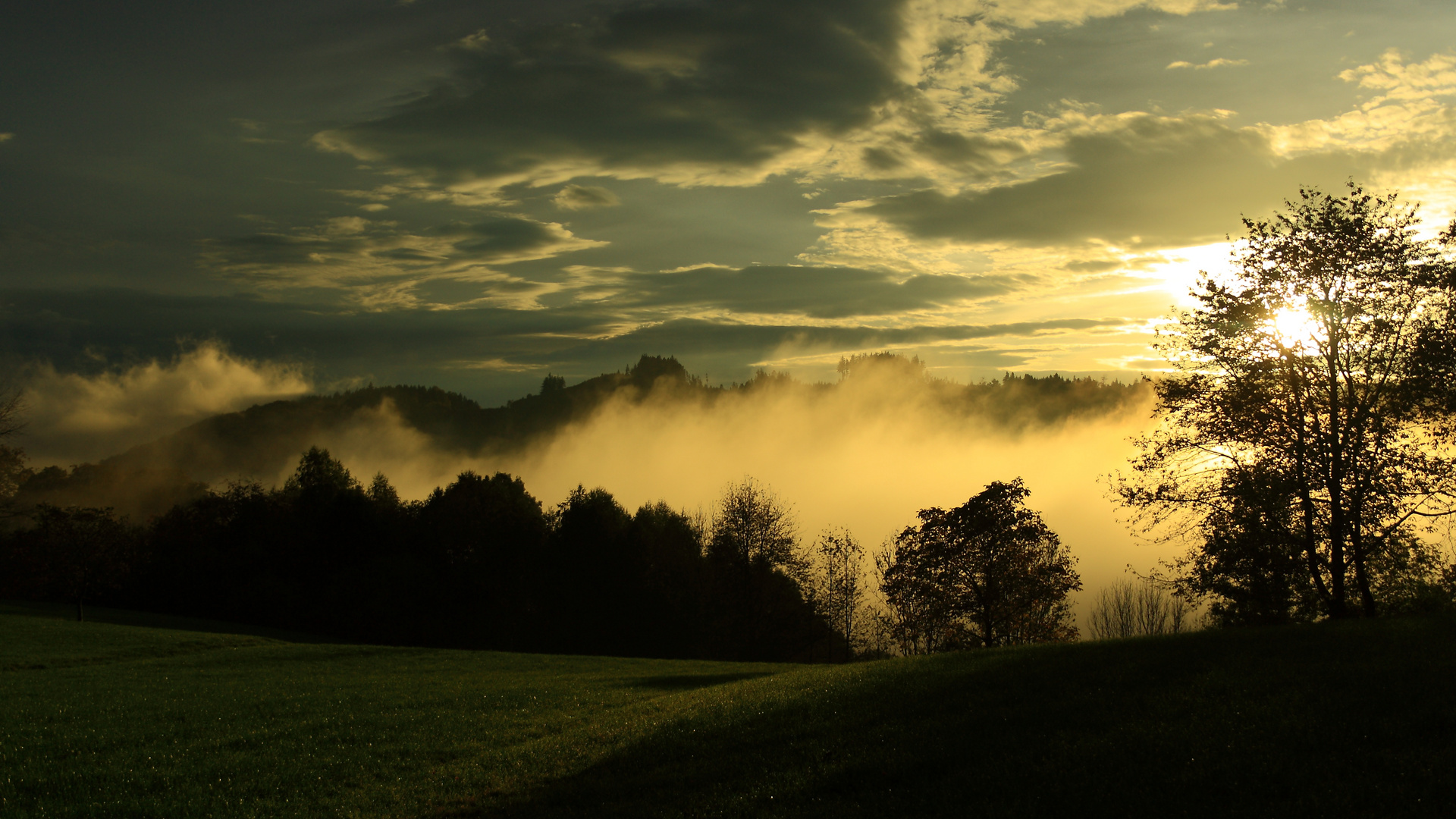 der lichtblick