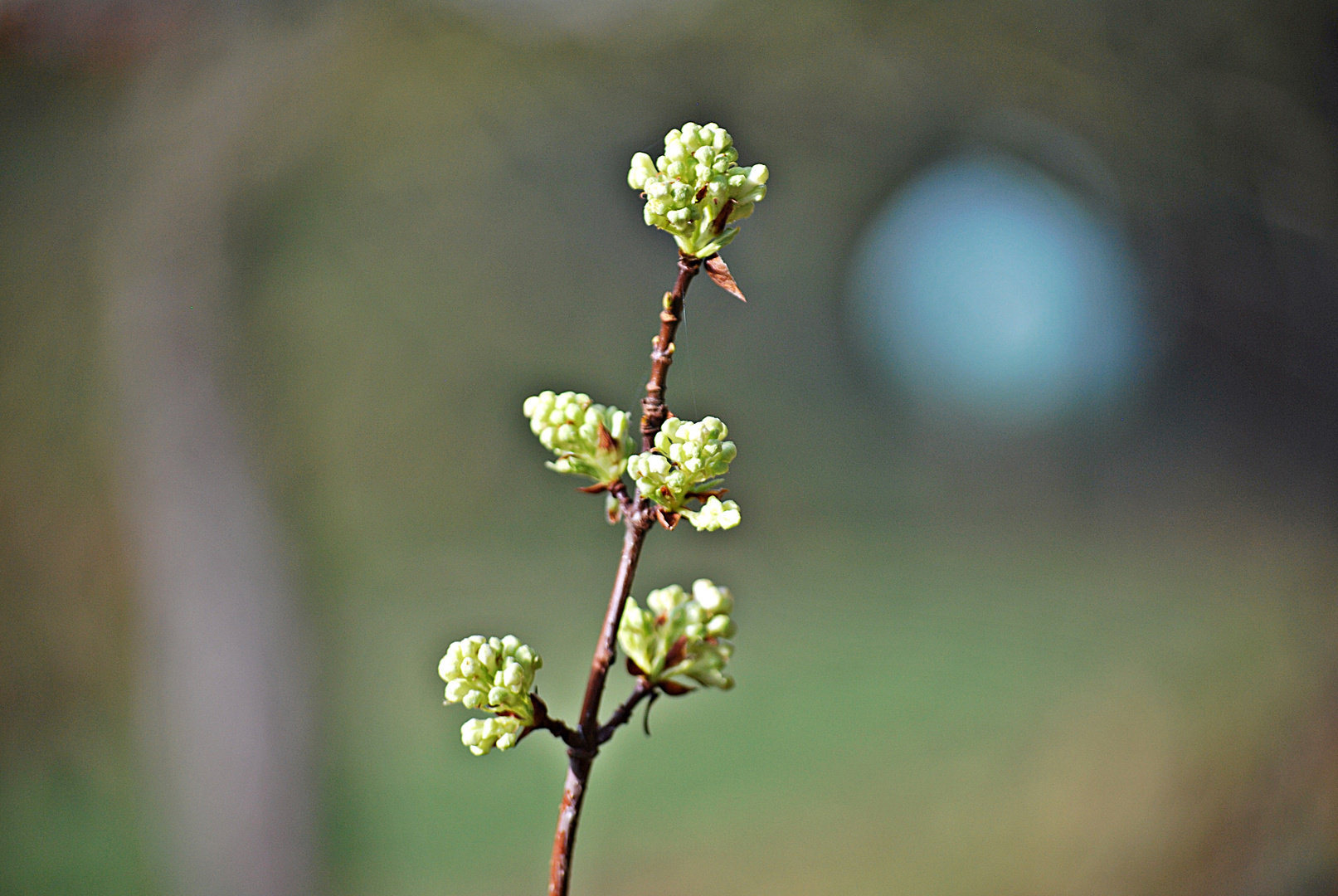 der Lichtblick...