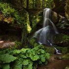 Der Lichtenhainer Wasserfall im Kirnitzschtal